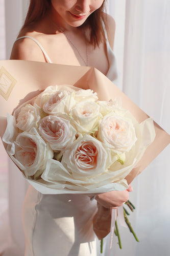 Fragrance garden roses  -white