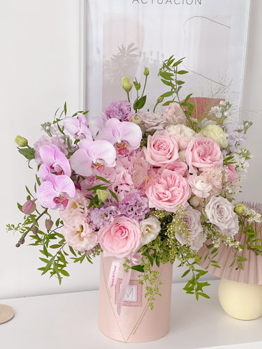 Orchid delight