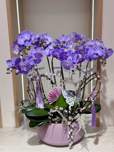 Violet orchids