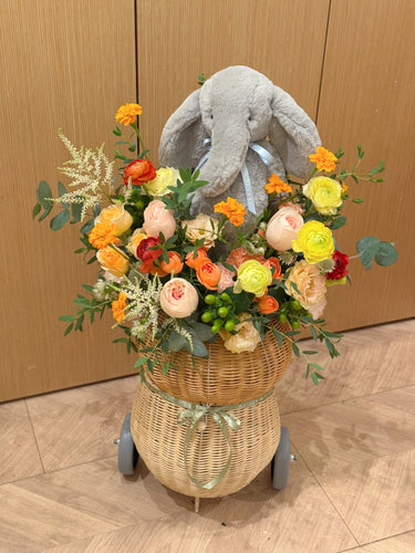 Little Elephant