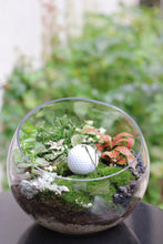 Golf lover moss plant (White)