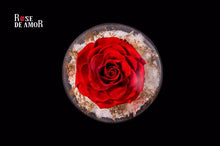 Rose de amor 玫瑰星球 – 限量紅玫瑰系列