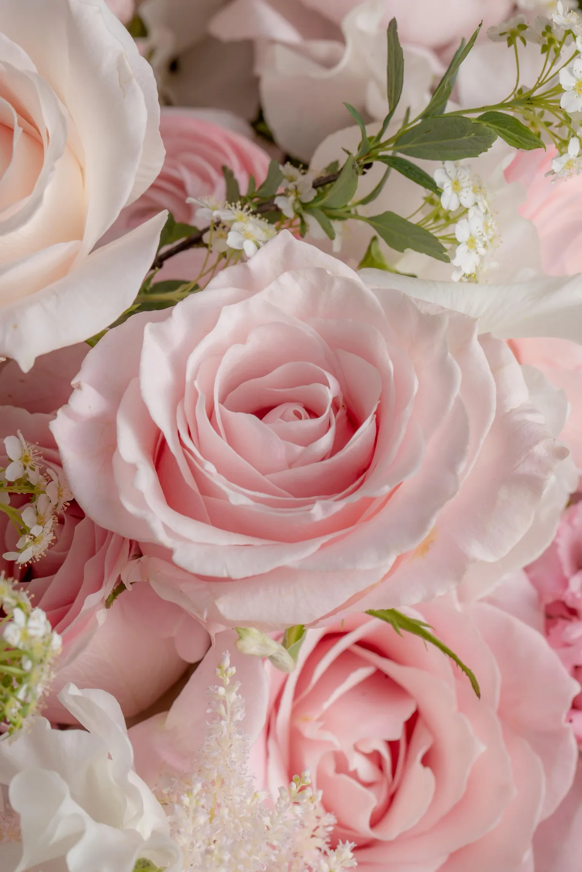 Florist
Pick