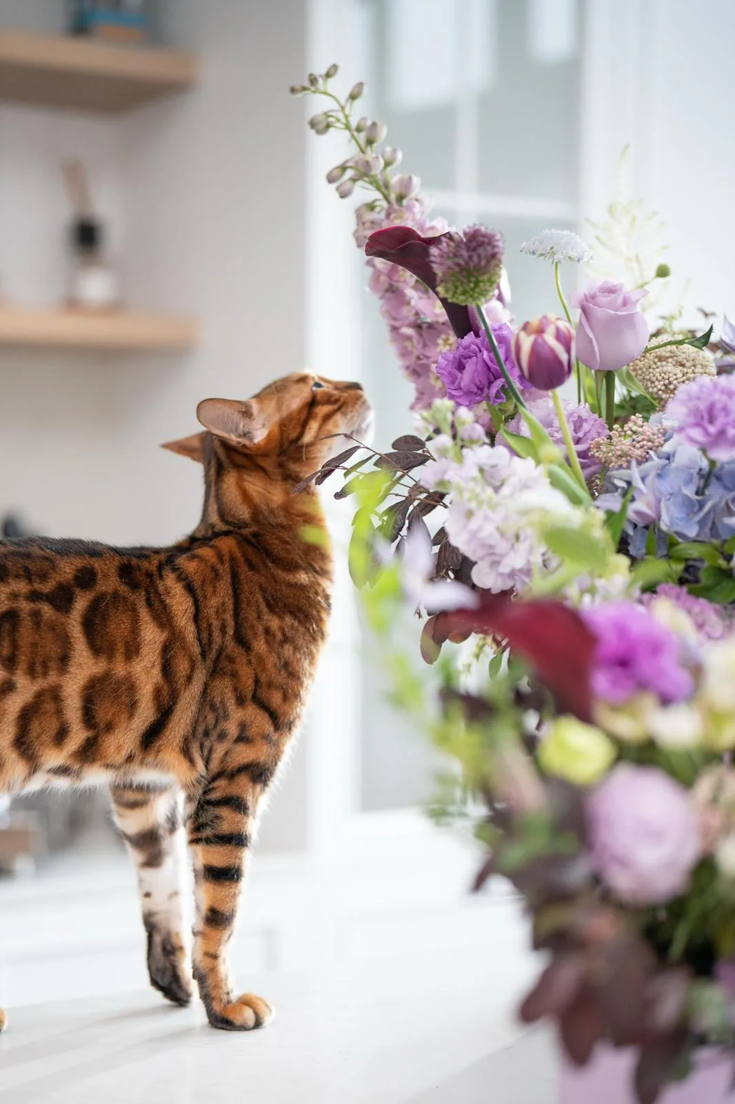 Maison M Floral — bespoke arrangements